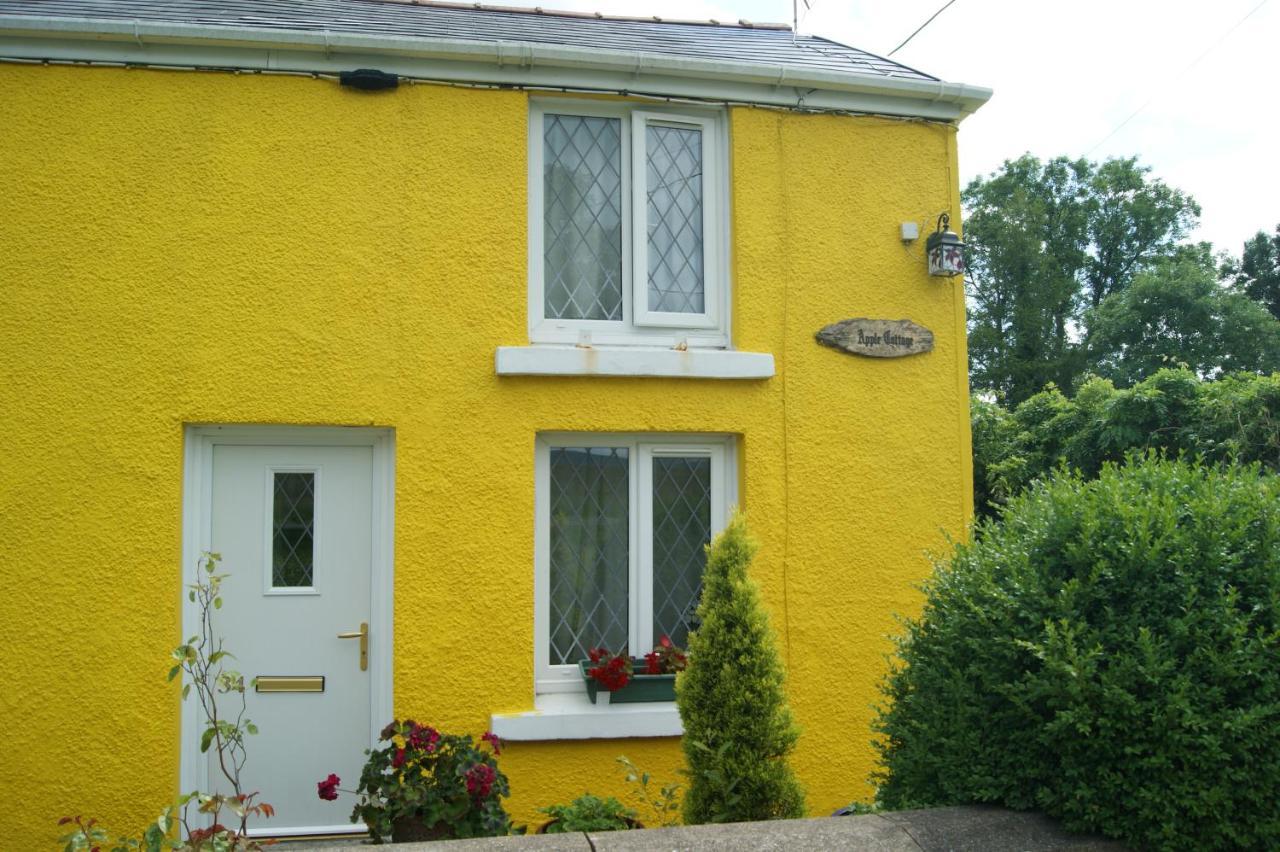 Apple Cottage Brynamman Exterior photo